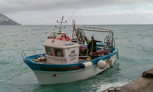 Grassi Junior Boats - Pescaturismo